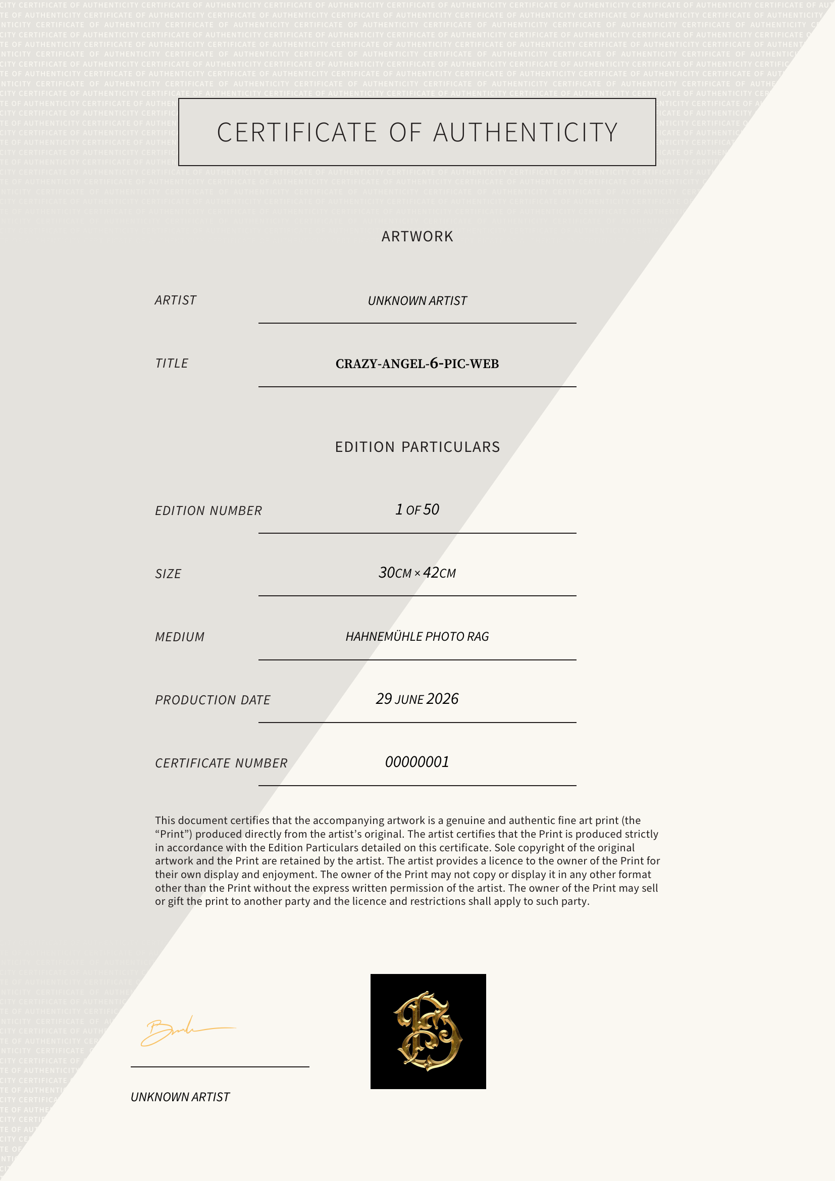 crazy-angel-6-pic-web — Certificate of Authenticity
